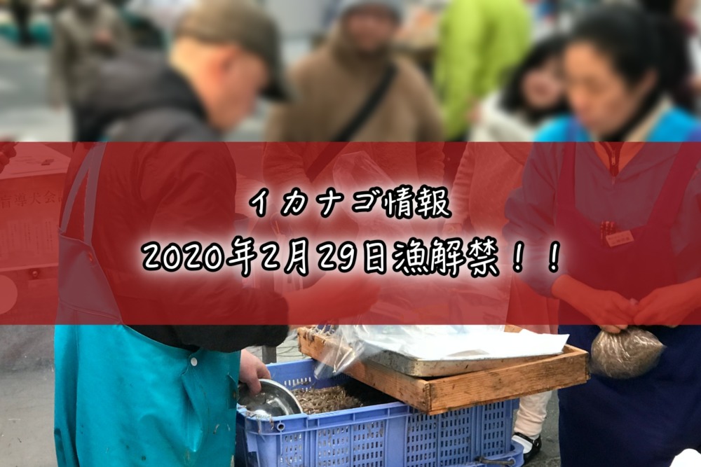 2020年2月29日いかなご漁解禁 小売価格はkg4000円超スタート 明石news
