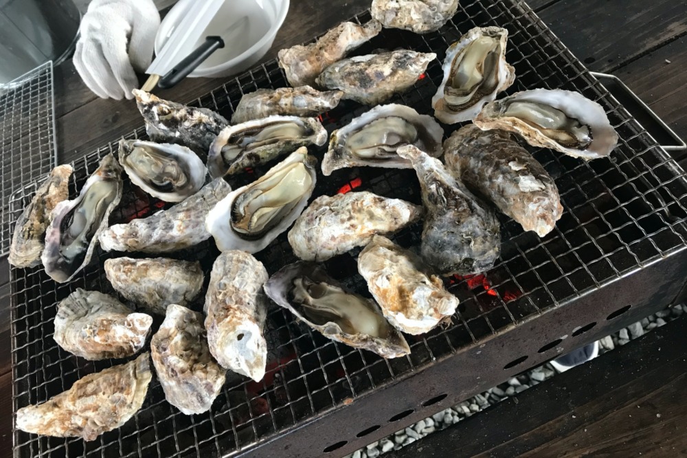 相生市 3月旬 漁師直営の焼がき大豊の食べ放題が安くて旨い 明石news